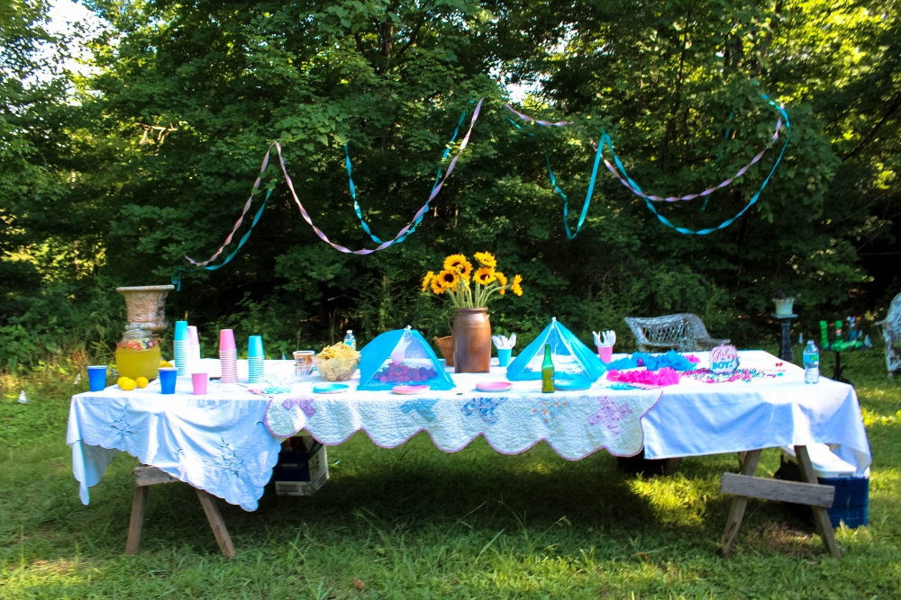 Southern_Gender_Reveal_Party1
