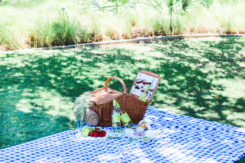 Picnic_in_the_Park-2