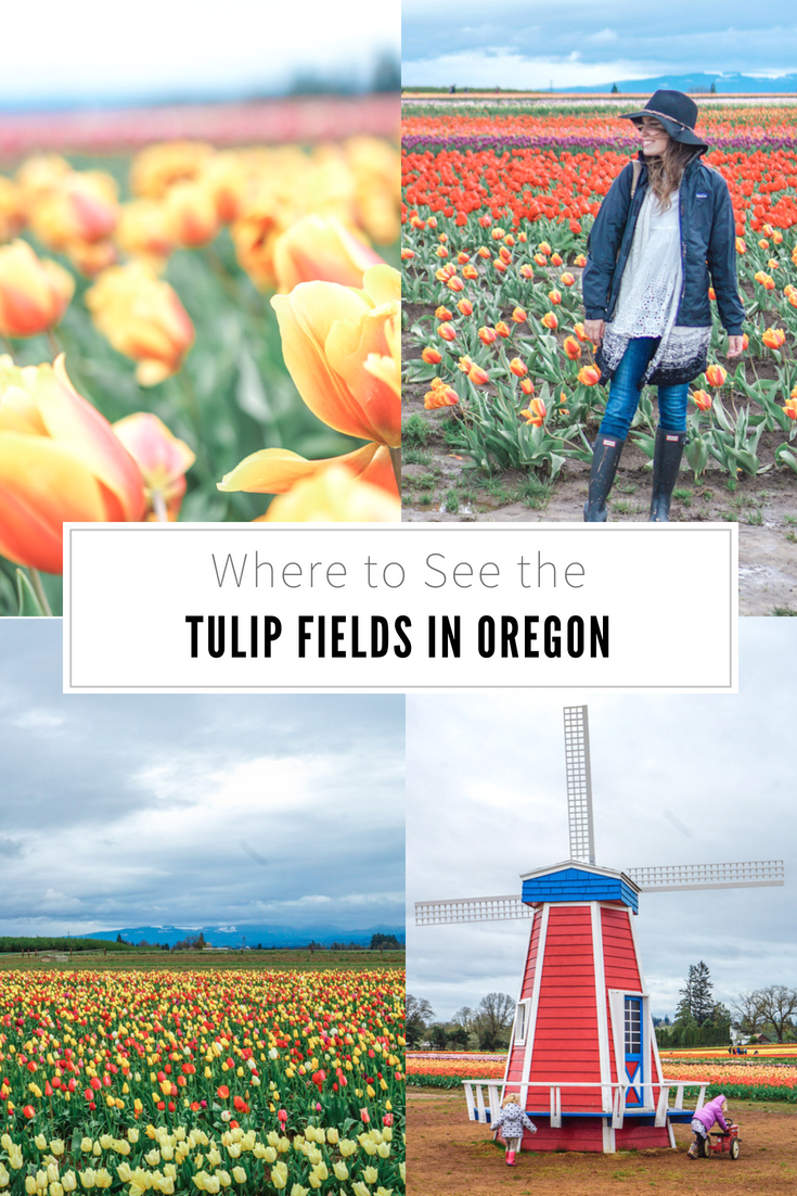 Oregon Tulip Fields at the Wooden Shoe Tulip Festival featured by top US travel blog, Lone Star Looking Glass