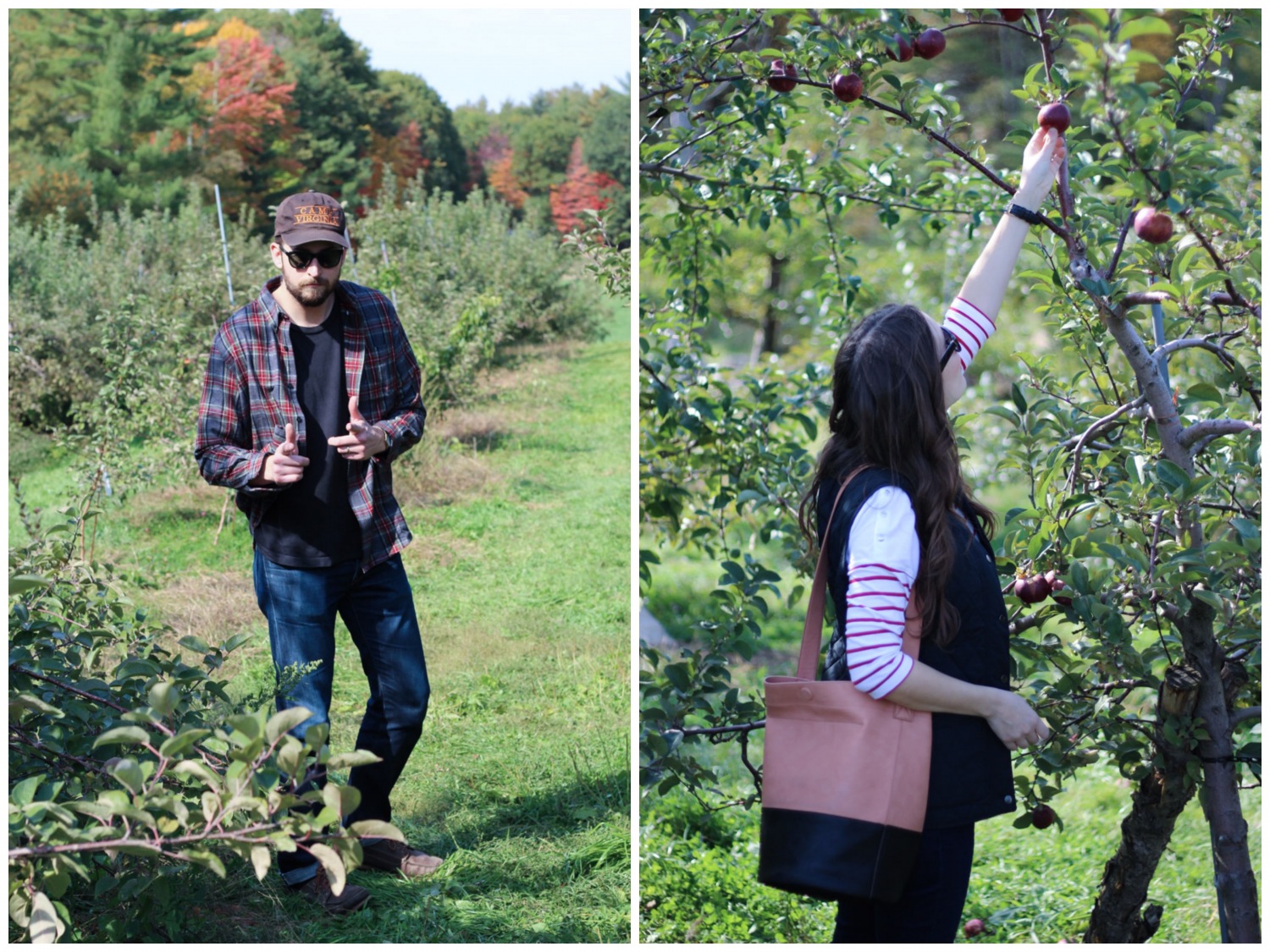 Apple picking at Spiller Farm in Maine.