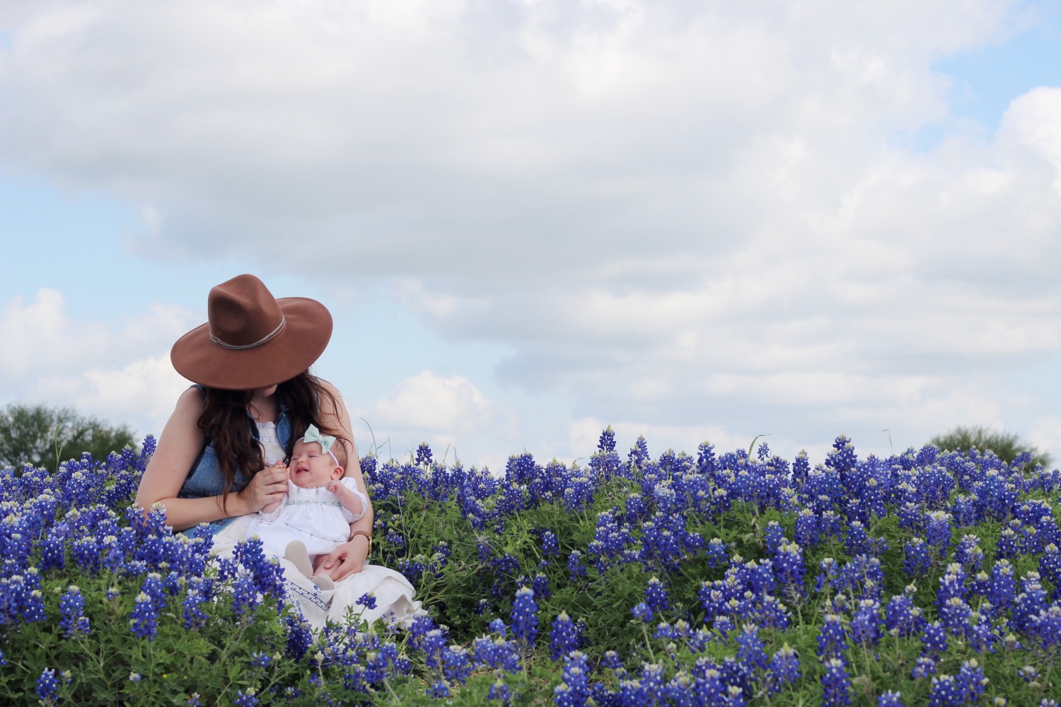Where to take blue bonnet pictures outside of Houston, Texas.