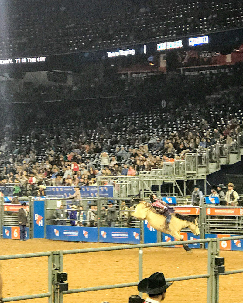 What to do at Rodeo Houston | 6 Things to See + Do at Rodeo Houston by top Houston blog, Lone Star Looking Glass