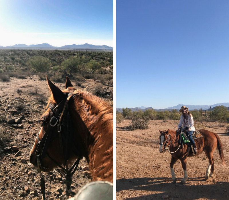 Phoenix Travel Guide featured by top Houston travel blog, Lone Star Looking Glass: image of a woman horse back riding - Where to horseback ride the Sonoran Desert