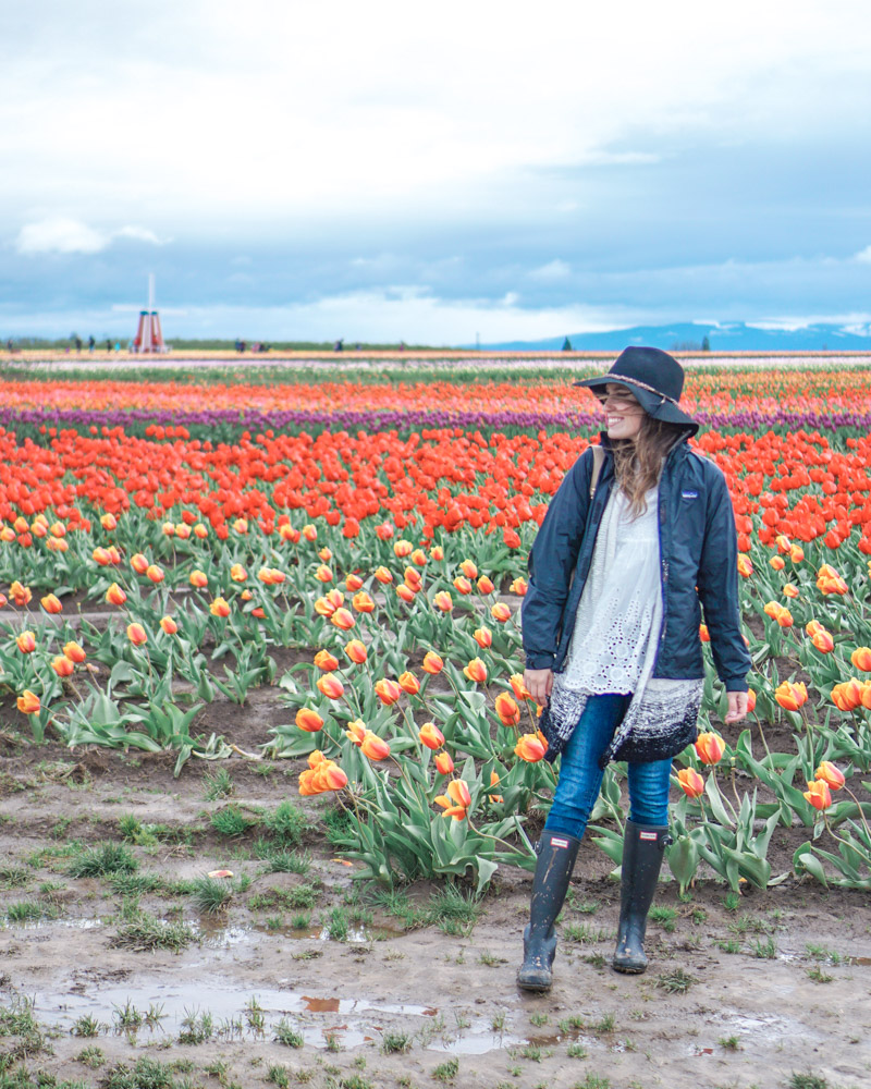 Oregon Tulip Fields at the Wooden Shoe Tulip Festival featured by top US travel blog, Lone Star Looking Glass