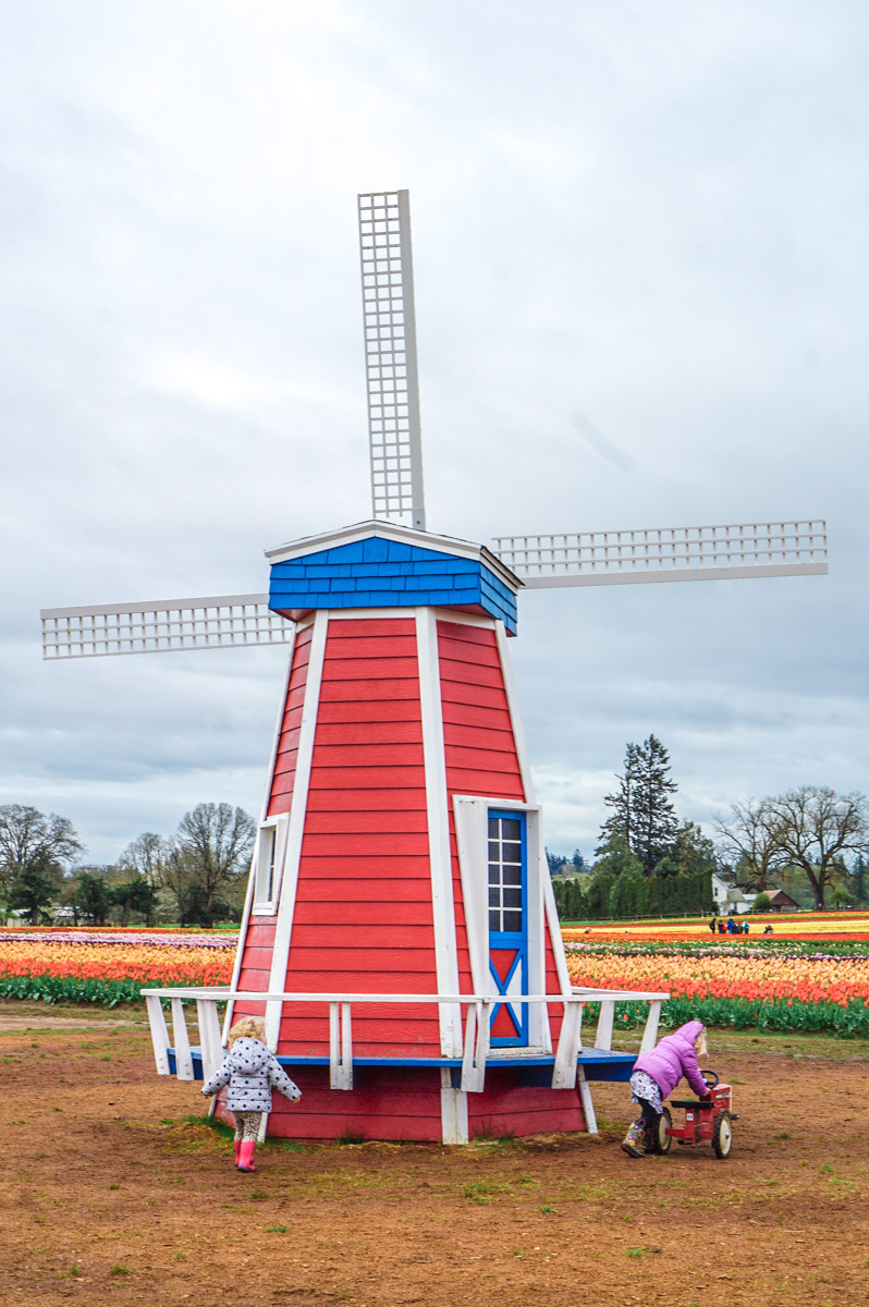 Oregon Tulip Fields at the Wooden Shoe Tulip Festival featured by top US travel blog, Lone Star Looking Glass