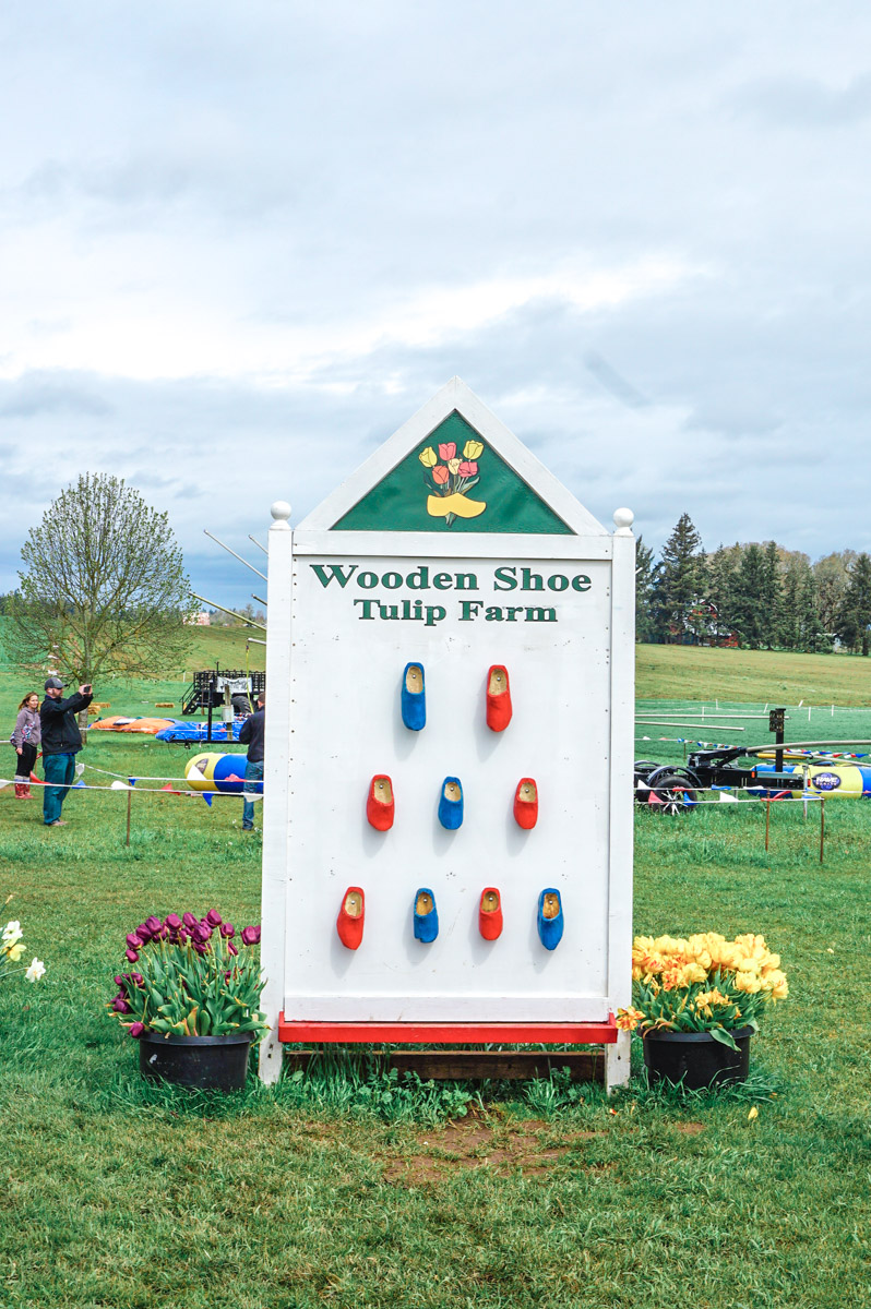 Oregon Tulip Fields at the Wooden Shoe Tulip Festival featured by top US travel blog, Lone Star Looking Glass