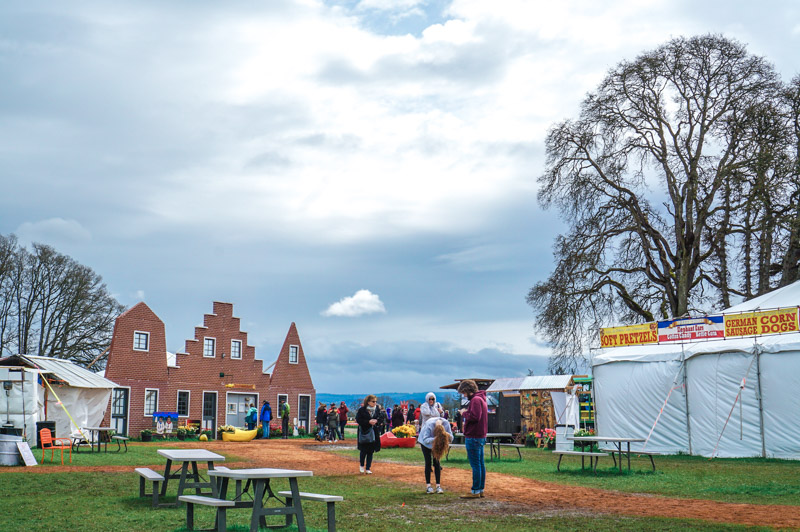 Oregon Tulip Fields at the Wooden Shoe Tulip Festival featured by top US travel blog, Lone Star Looking Glass