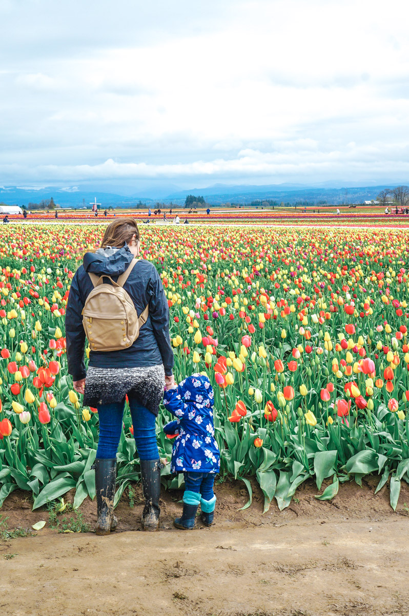 Oregon Tulip Fields at the Wooden Shoe Tulip Festival featured by top US travel blog, Lone Star Looking Glass