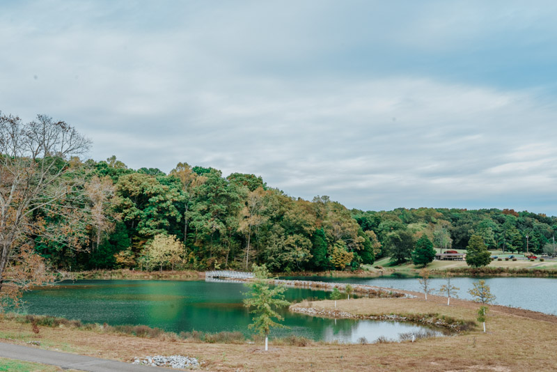 Top Things to Do in Clarksville: Dunbar Cave State Park | 12 Reasons to Visit Clarksville, Tennessee featured by top Houston travel blog Lone Star Looking Glass