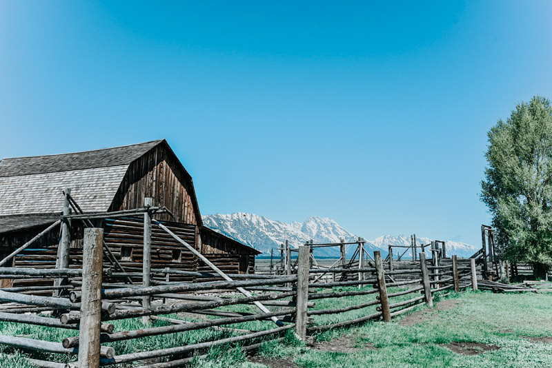 Travel | Wyoming | The Top 3 Things to Do in Grand Teton National Park in One Day featured by top Houston travel blog Lone Star Looking Glass