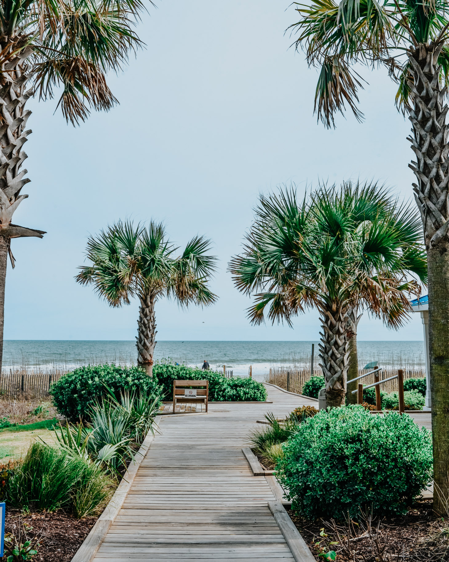 The Ultimate Myrtle Beach Travel Guide