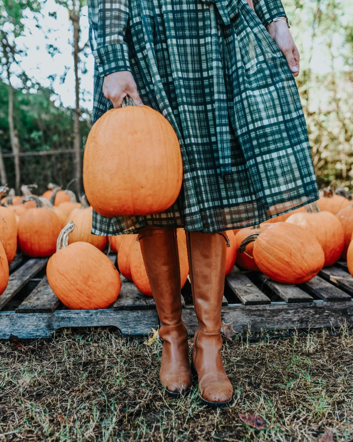 Winter Boot Trend - Cole Haan Riding Boot