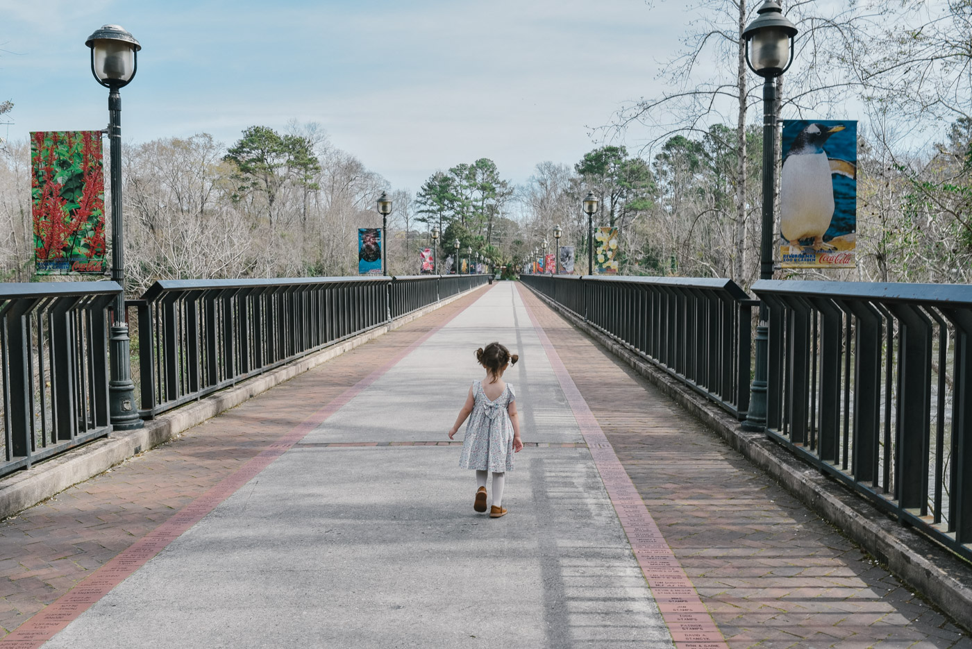Things to do in Columbia SC by popular Memphis travel blog, Lone Star Looking Glass: image of a little girl walking across a bridge at the Riverbanks zoo. 