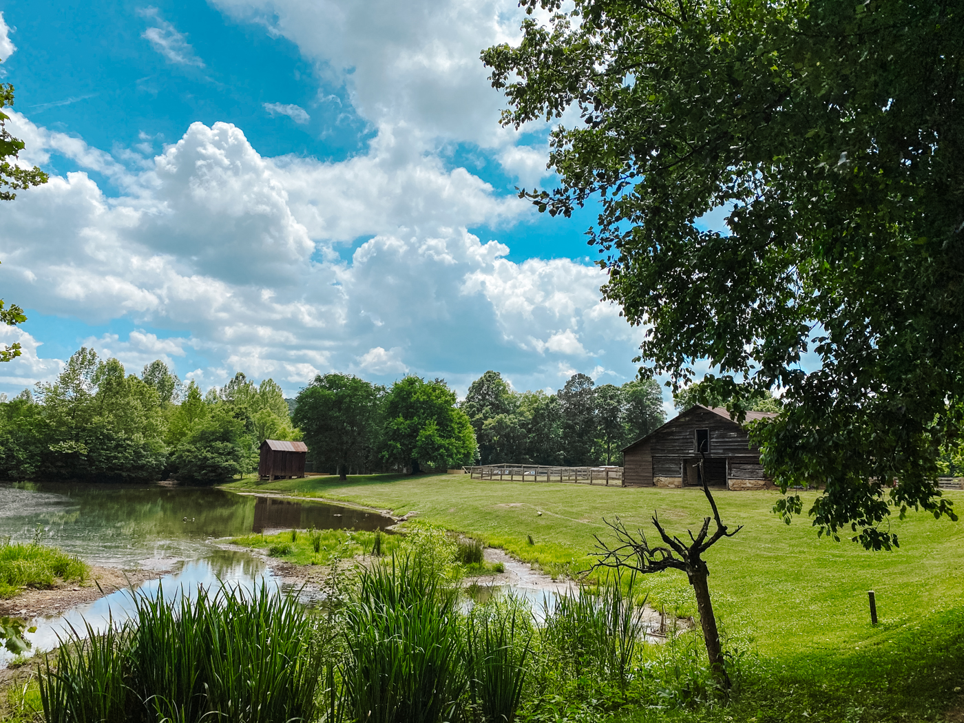 Barnsley Resort by popular Memphis travel blog, Lone Star Looking Glass: image of a pond and a old wood barn. 