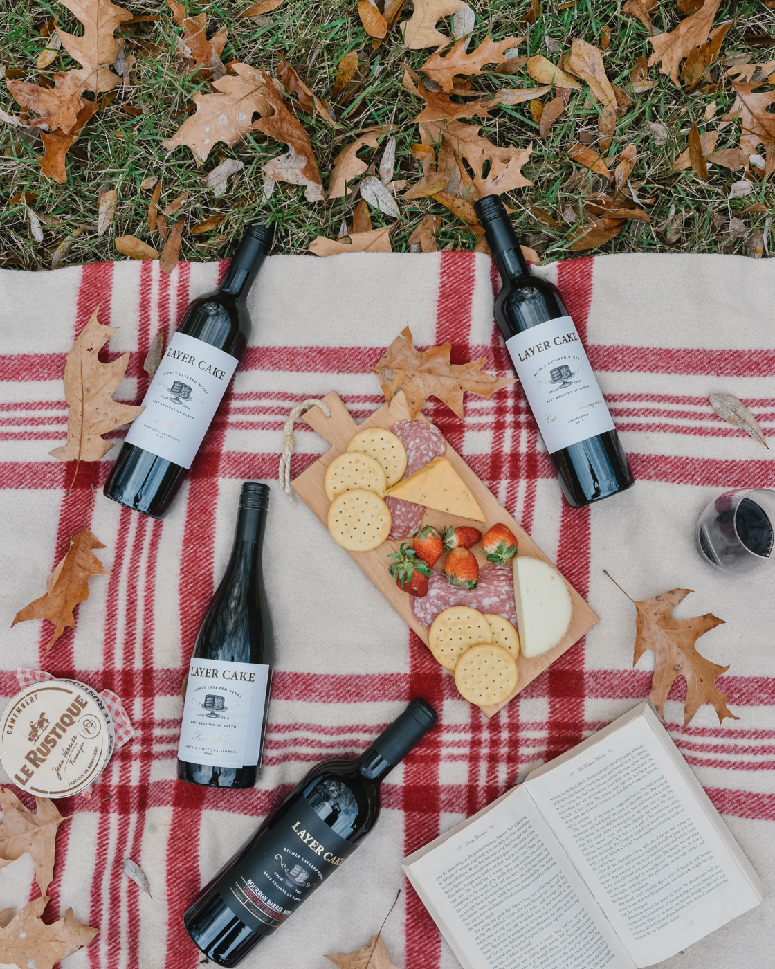 Fall Picnic Essentials featured by top Memphis lifestyle blogger, Lone Star Looking Glass