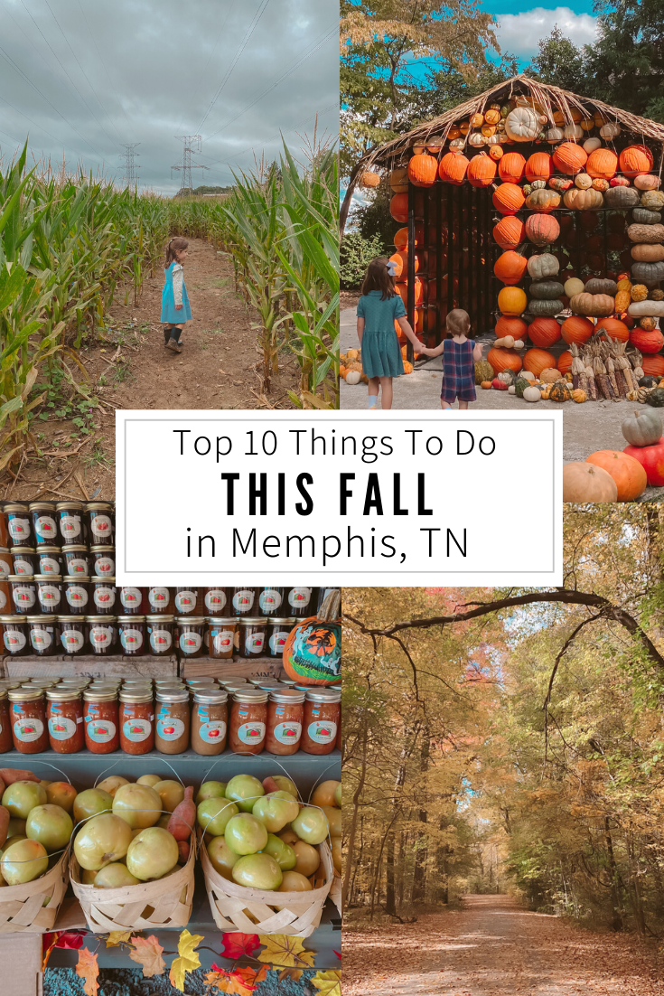 What to do in Memphis in the fall, best fall activities and pumpkin patches in memphis
