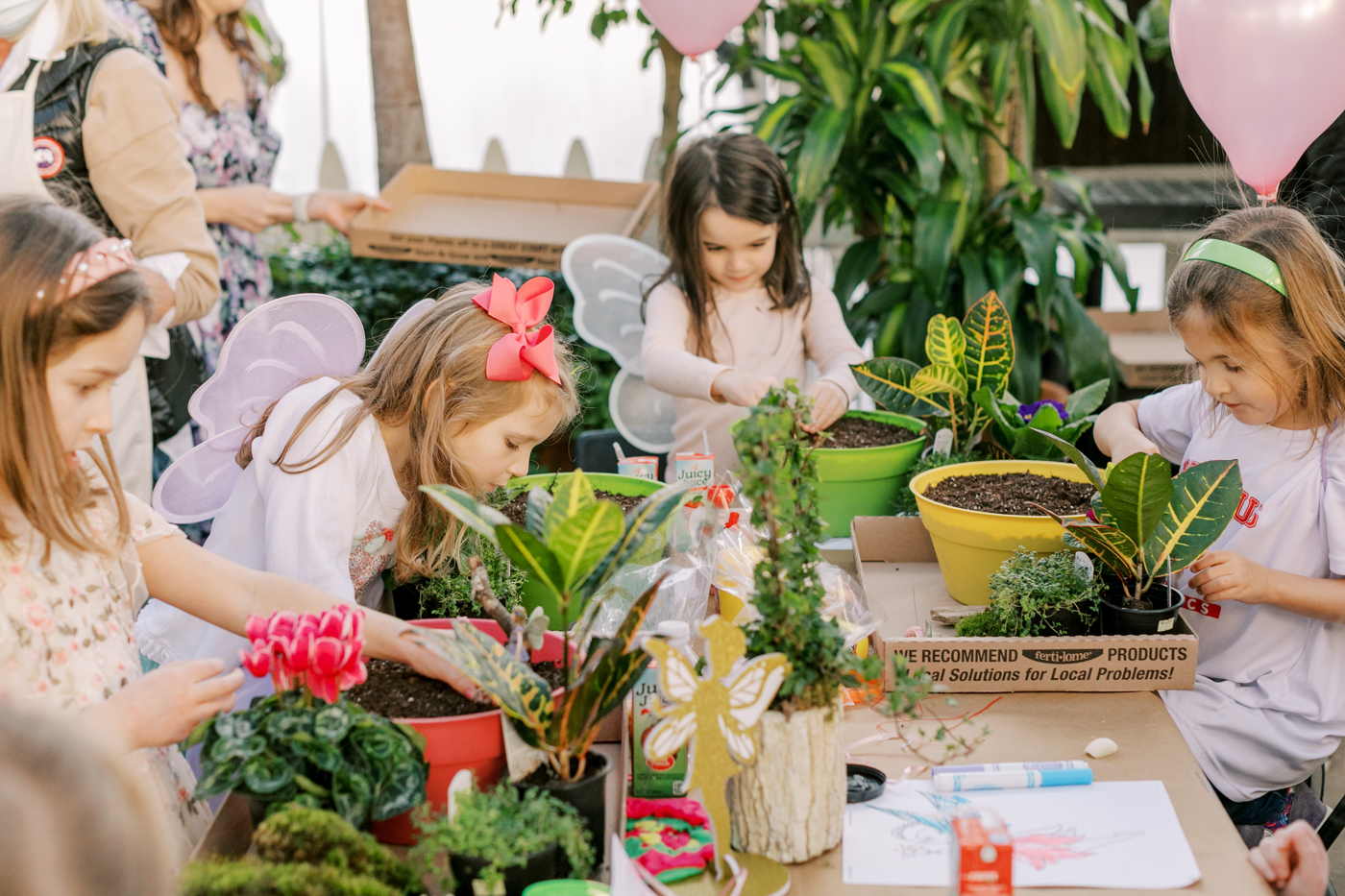 fairy garden birthday party ideas featured by top Memphis lifestyle blogger, Lone Star Looking Glass