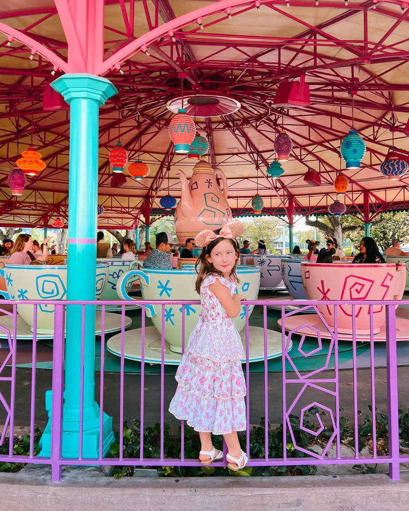 Tips on Visiting Disney World with Preschoolers