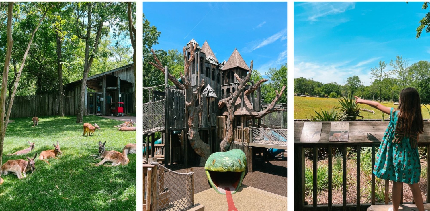 Nashville Zoo Jungle Gym Playground